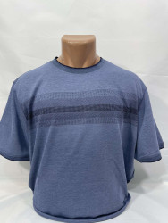 Футболки мужские ПОЛУБАТАЛ оптом 72584019 200-31