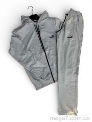 Спортивный костюм, Sport style оптом 01Pu св.сірий