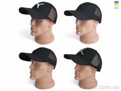 Кепка, Mabi оптом 0142 mix