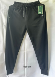 Спортивные штаны мужские (черный) оптом 32507916 2413-22