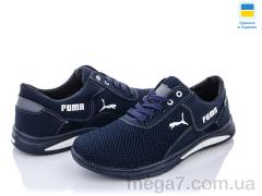 Кроссовки, Paolla оптом Sunshine КР14-3 сине-серый