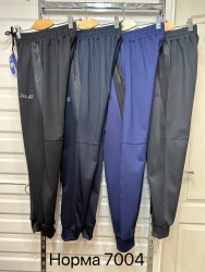 Спортивные штаны мужские (серый) оптом 03175962 7004-27