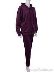 Спортивный костюм, Opt7kl оптом A001-1 violet