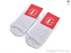 Носки, ГС Шкарпетки оптом 101 white