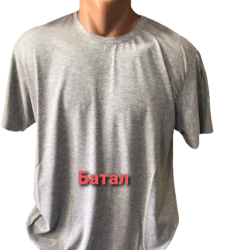 Футболки мужские БАТАЛ оптом 79425360 01004-154