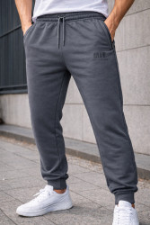 Спортивные штаны мужские оптом 29381756 00014-251