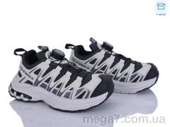 Кроссовки, Clibee-ShoSho оптом ABC2173R beige-black