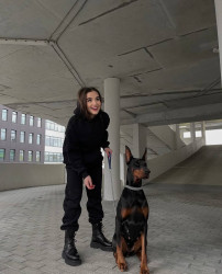 Спортивные костюмы женские на флисе оптом ANNVER 29180365 387-133