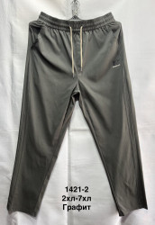Спортивные штаны мужские БАТАЛ оптом 13756489 1421-2-54