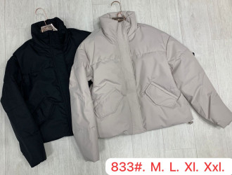 Куртки демисезонные женские (черный) оптом 48562103 833-14