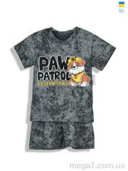 Костюм, Kir15 оптом 221528 сірий