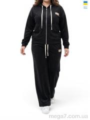 Спортивный костюм, Sport style оптом 06 чорний
