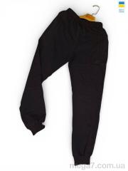 Спортивные брюки, Sport style оптом 2Ni чорний