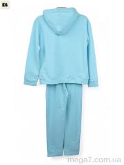 Спортивный костюм, BIG оптом 3750-805-2 l.blue