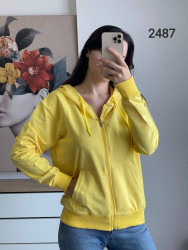 Спортивные кофты женские оптом Турция 65371092 2487-29