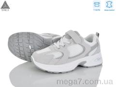 Кроссовки, STILLI KIDS оптом TQ40-2 шкіра