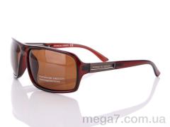 Очки, Egebar оптом P7504 C3