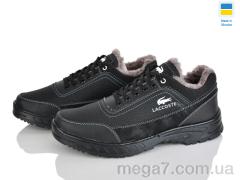 Кроссовки, Paolla оптом ЛБ42 чорний