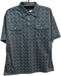 Футболки мужские оптом 37601542 A5-84