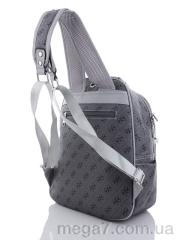 Рюкзак, Republic оптом Ashaf - Republic 8821-1 grey