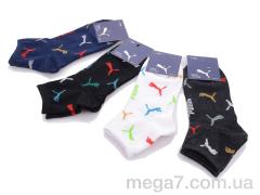 Носки, Obuvok оптом OBUVOK 98-2D mix