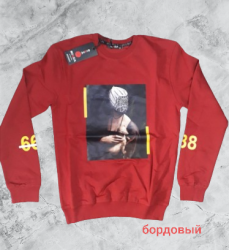 Світшоти чоловічі оптом 