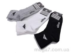 Носки, Textile оптом Textile  1056 сітка середня mix