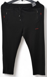 Спортивные штаны мужские БАТАЛ (черный) оптом 84390756 04-48
