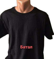 Футболки мужские БАТАЛ (черный) оптом 45807961 07-46