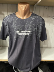 Футболки мужские БАТАЛ оптом 64783521 69-8