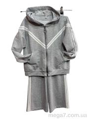 Спортивный костюм, Steysi оптом 007-3 l.grey