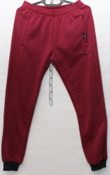 Спортивные штаны мужские на флисе оптом 17498630 01-4
