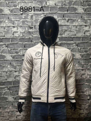Куртки демисезонные мужские оптом 14873296 8981-23