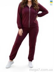 Спортивный костюм, Sport style оптом 53 бордовий