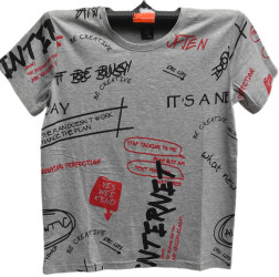 Футболки мужские оптом 85132479 66-21