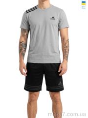 Спортивный костюм, Sport style оптом 11AD св.сірий-чорний