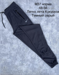 Спортивные штаны мужские оптом 74928103 37-0