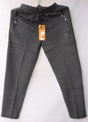 Спортивные штаны мужские на флисе (gray) оптом 28573406 A21-11