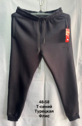 Спортивні штани чоловічі на флісі оптом        