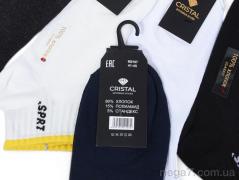 Носки, Textile оптом Textile  T243 mix