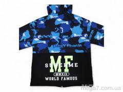 Ветровка, Kids-modnik оптом --- 2121 електрик