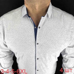 Рубашки мужские ПОЛУБАТАЛ оптом 38562491 04-35