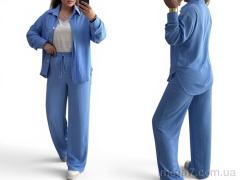 Спортивный костюм, Alisa Brand оптом 101 блакитний