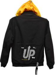 Куртки демисезонные мужские оптом 89317426 77702-127