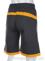 Шорты, Мир оптом 2806-16-6 grey