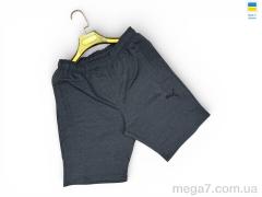 Шорты, Sport style оптом 02-1PM т.сірий