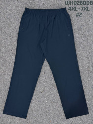 Спортивные штаны мужские БАТАЛ оптом 2BRO 43195027 026008-39
