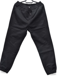 Спортивні штани чоловічі на флісі оптом        