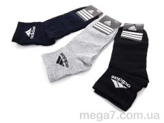 Носки, Textile оптом Textile  1025Ad середні mix