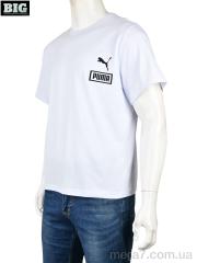 Футболка, BIG оптом --- 4053-P1 white